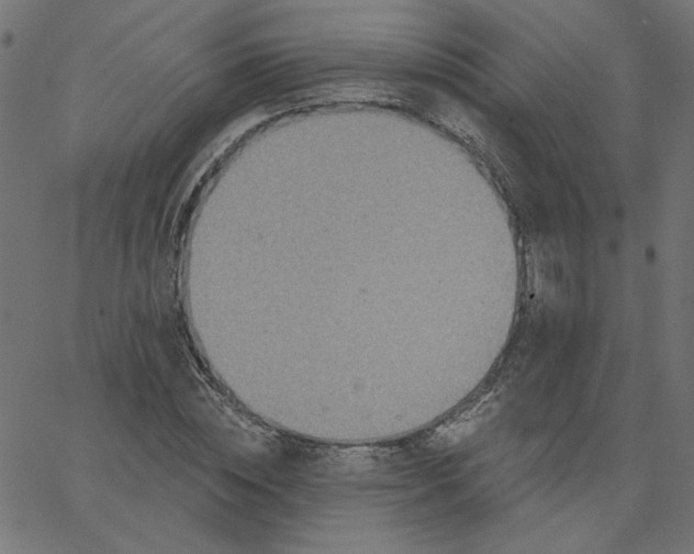 X0000067840828200604271617