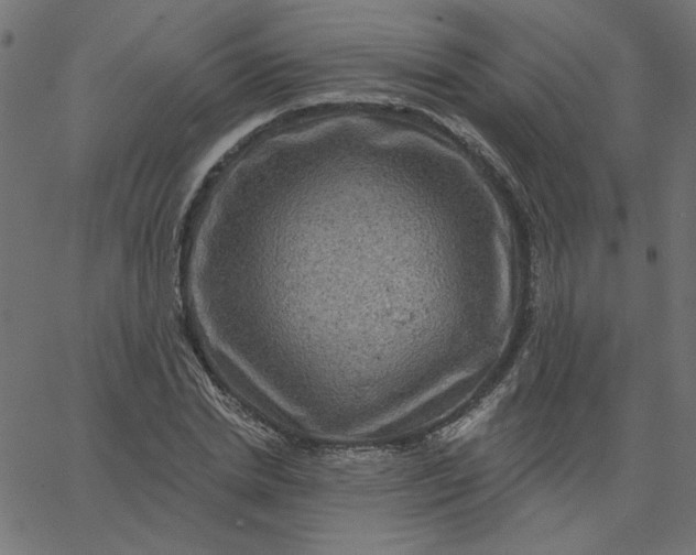 X0000067840830200604271617