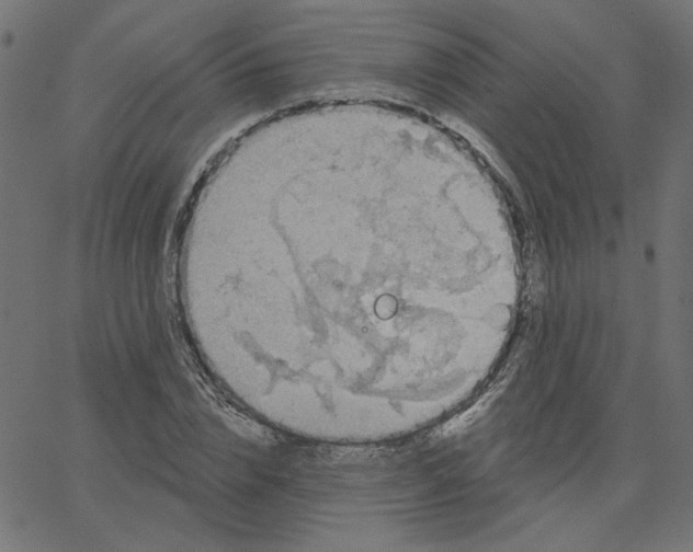 X0000067840832200604271617