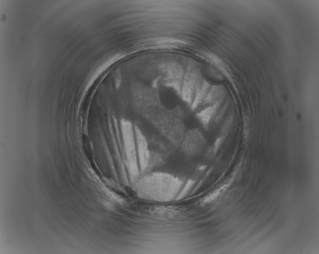 X0000067840835200604271617