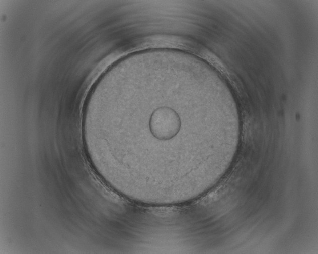 X0000067840836200604271617