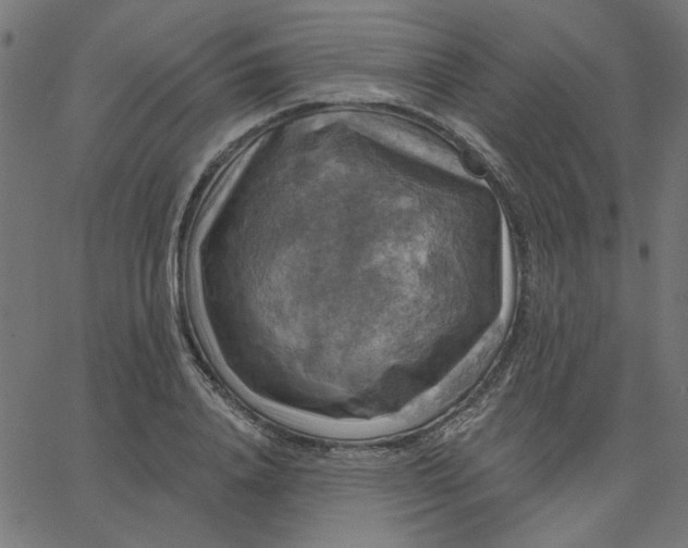 X0000067840840200604271617