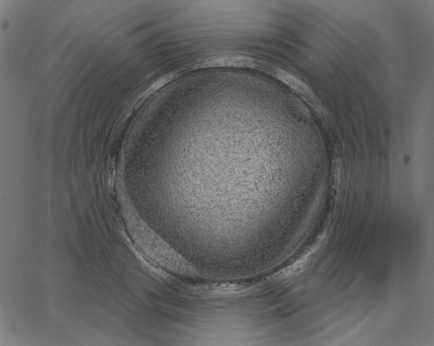 X0000067840841200604271617