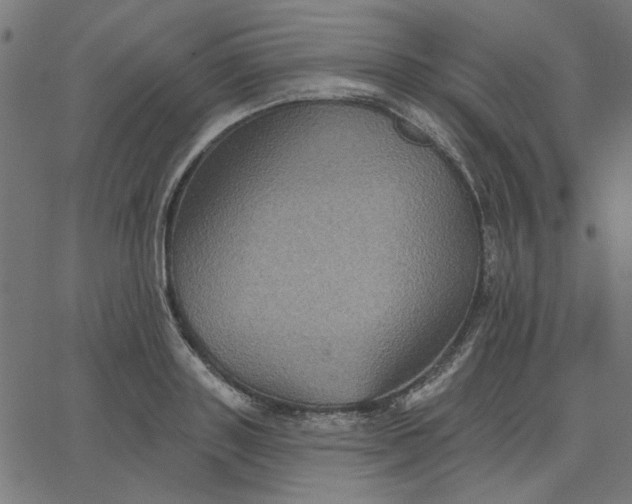 X0000067840843200604271618