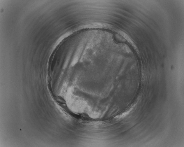 X0000067840845200604271618