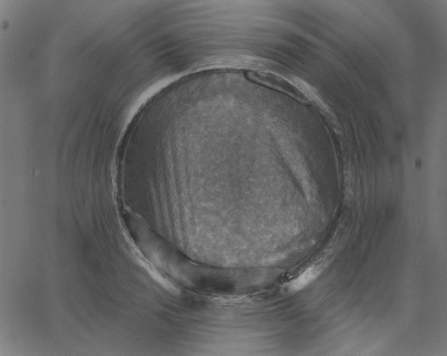 X0000067840846200604271618