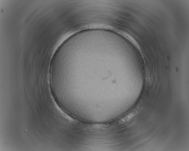 X0000067840847200604271618