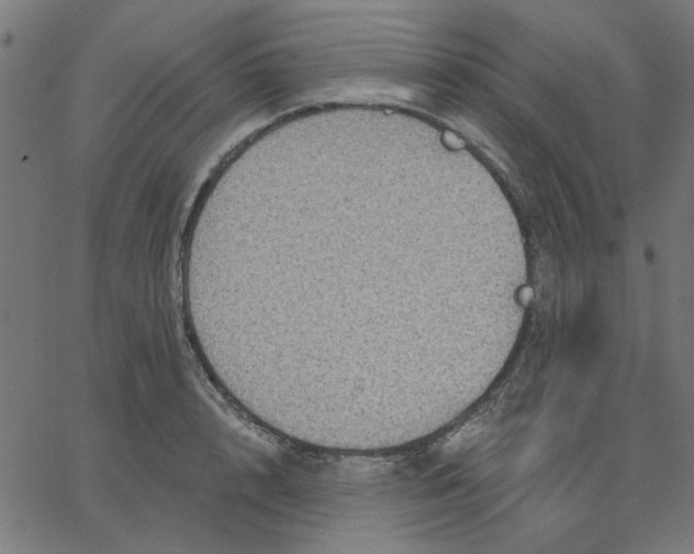 X0000067840848200604271618