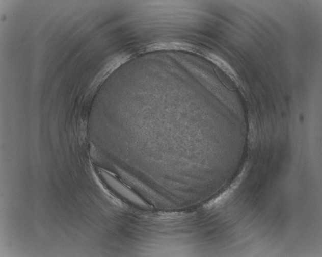 X0000067840849200604271618