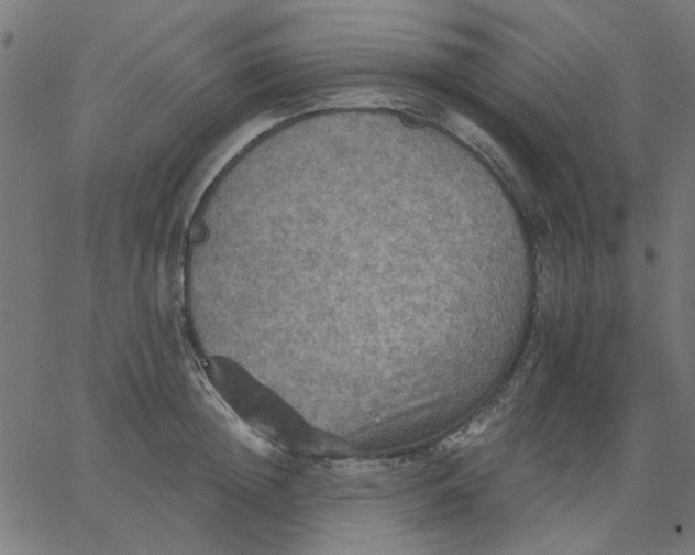 X0000067840852200604271618