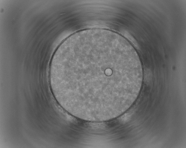 X0000067840856200604271618