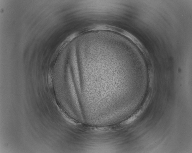 X0000067840857200604271618