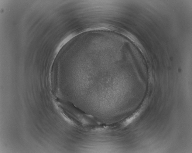 X0000067840858200604271618