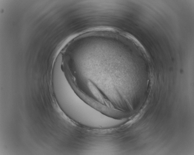 X0000067840860200604271618