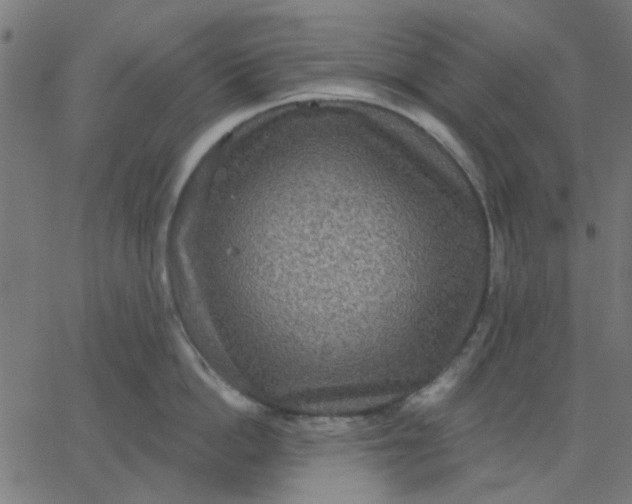 X0000067840862200604271618