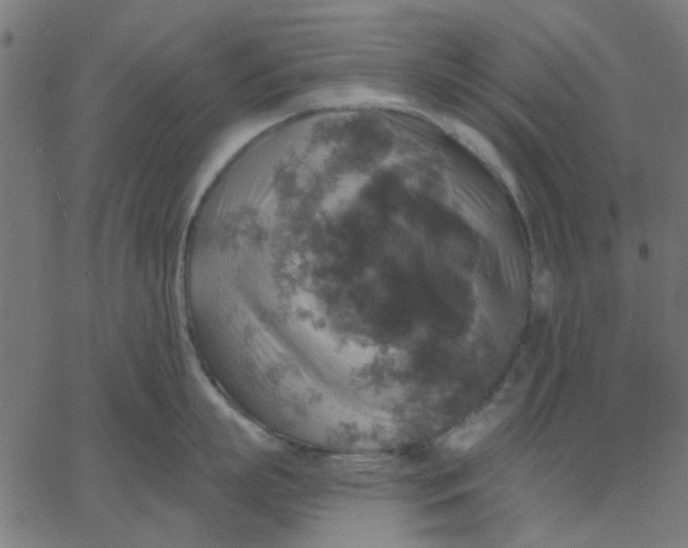 X0000067840863200604271618