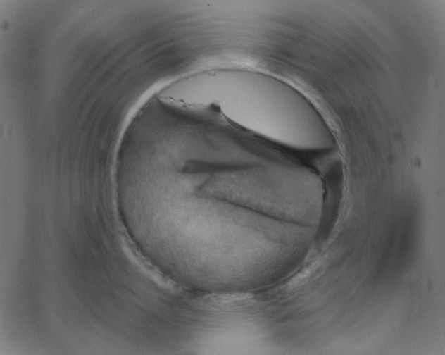 X0000067840864200604271618