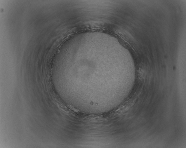 X0000067840865200604271617