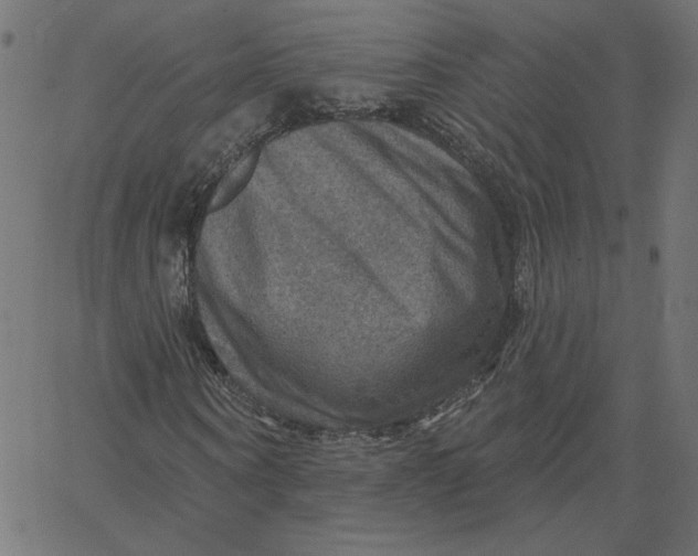 X0000067840866200604271617