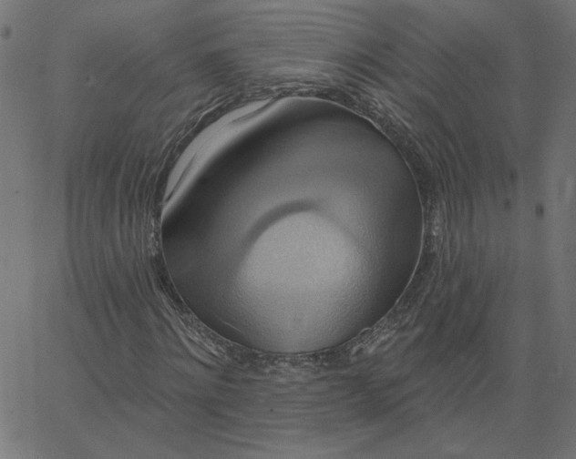 X0000067840868200604271617