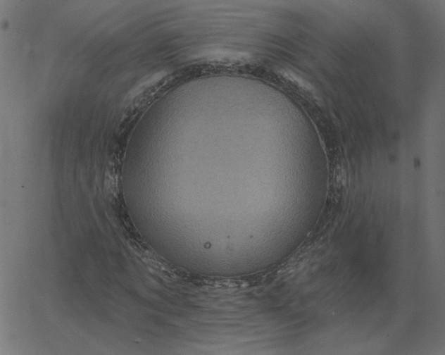 X0000067840869200604271617