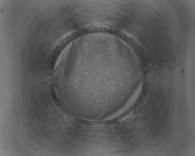 X0000067840870200604271617