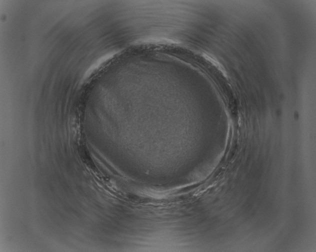 X0000067840872200604271617