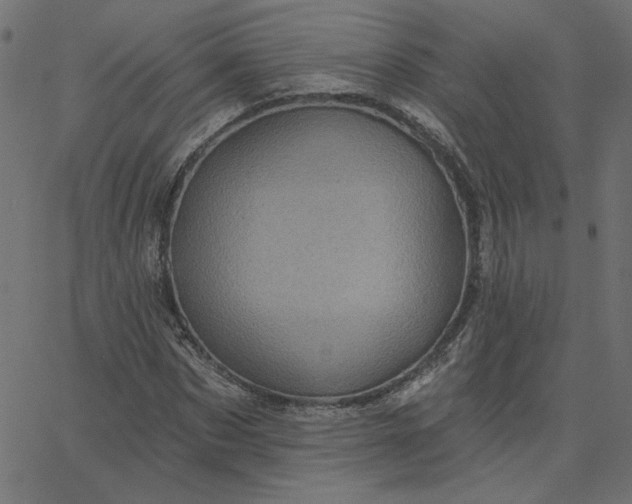 X0000067840873200604271617