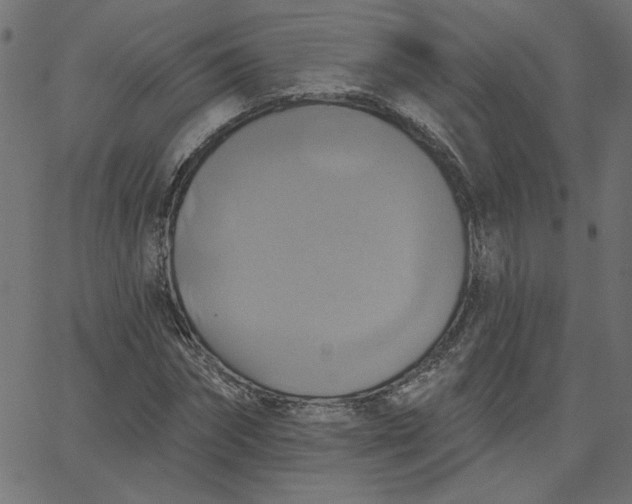 X0000067840874200604271617