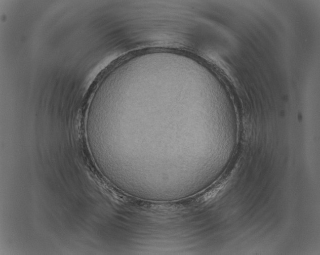 X0000067840875200604271617