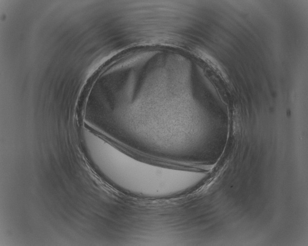 X0000067840876200604271617