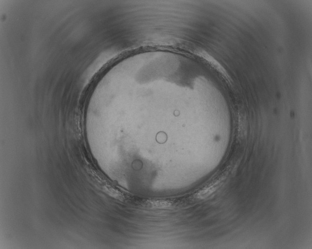 X0000067840878200604271617