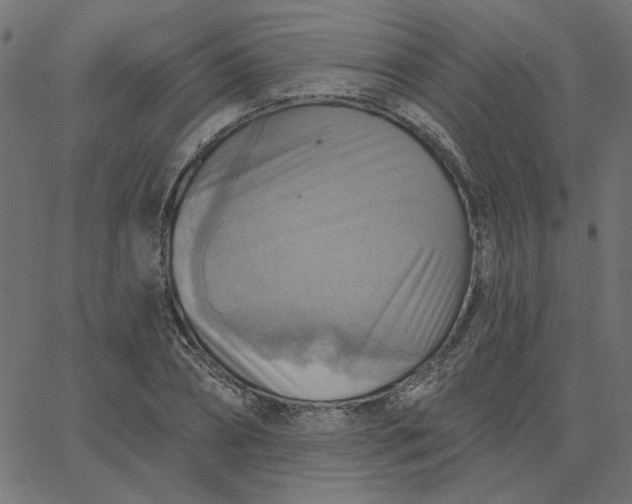 X0000067840882200604271617