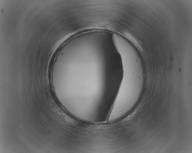 X0000067840884200604271617