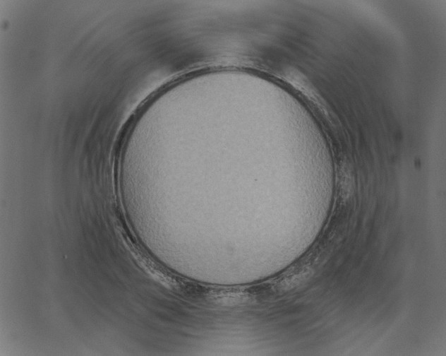 X0000067840886200604271617