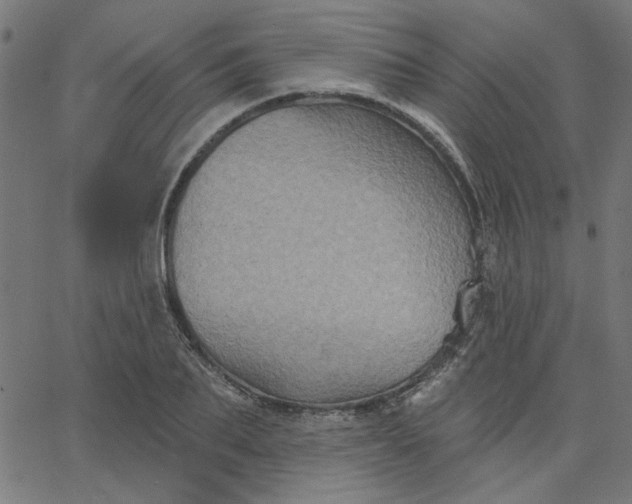 X0000067840887200604271617