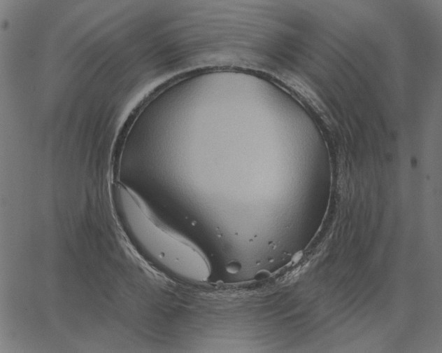 X0000067840888200604271617