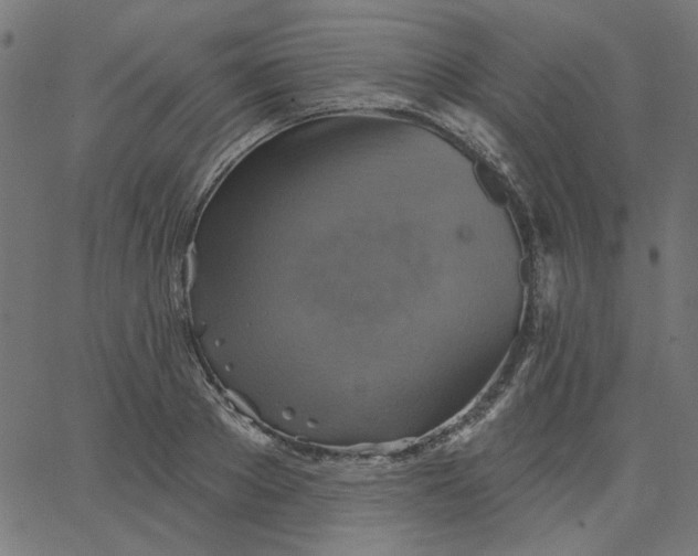 X0000067840889200604271617