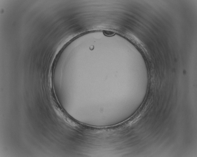 X0000067840892200604271617