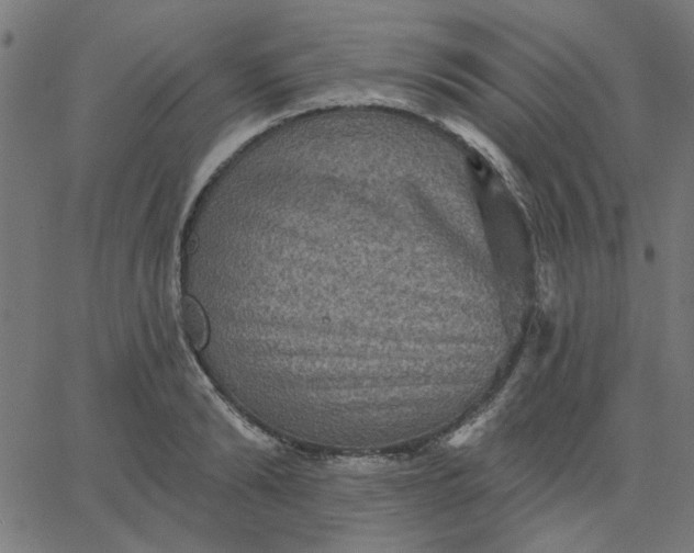 X0000067840894200604271617