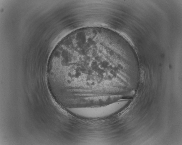 X0000067840895200604271617