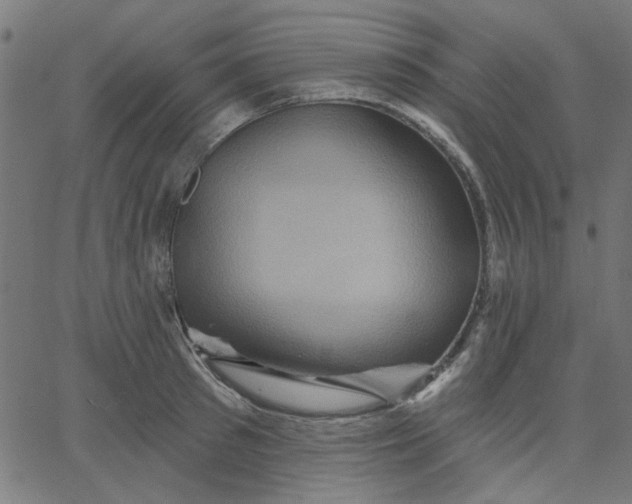 X0000067840897200604271617