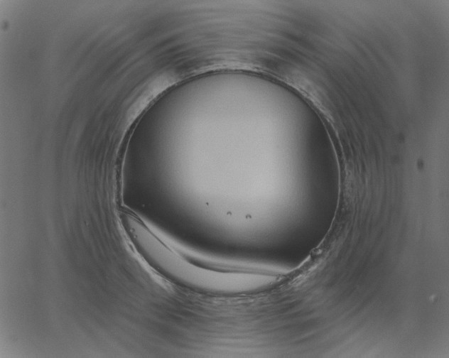 X0000067840898200604271617