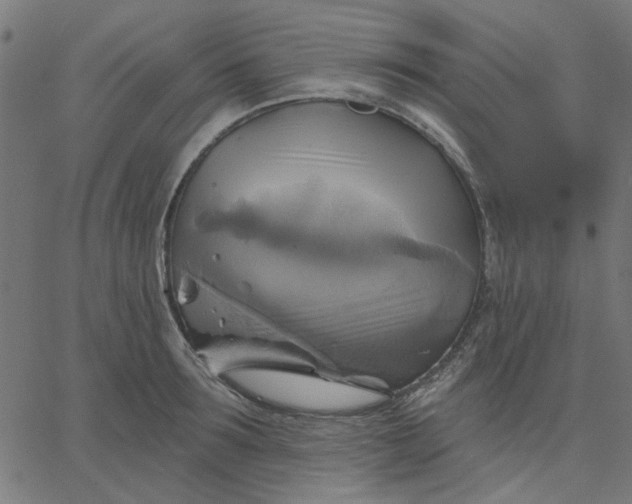 X0000067840899200604271617