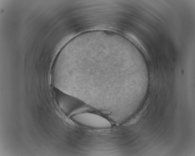 X0000067840900200604271617