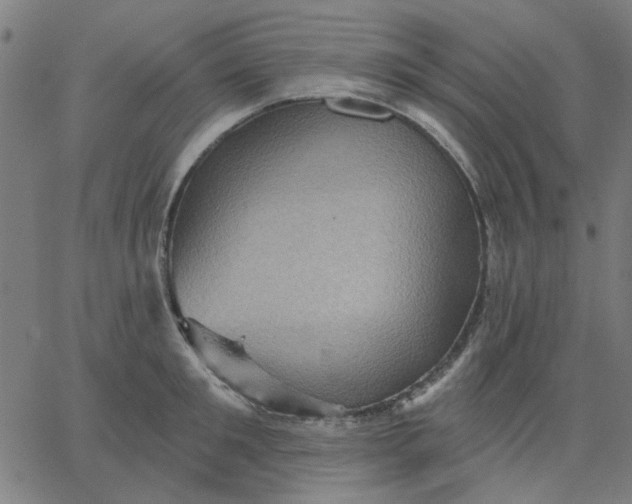 X0000067840901200604271616