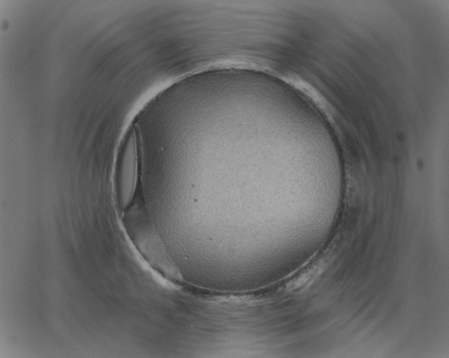 X0000067840902200604271616