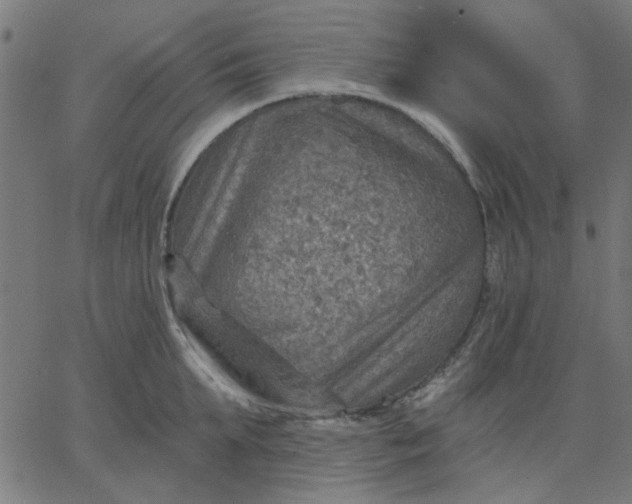 X0000067840903200604271616