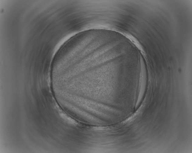 X0000067840904200604271616