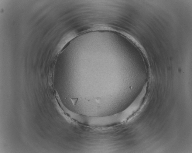 X0000067840905200604271616